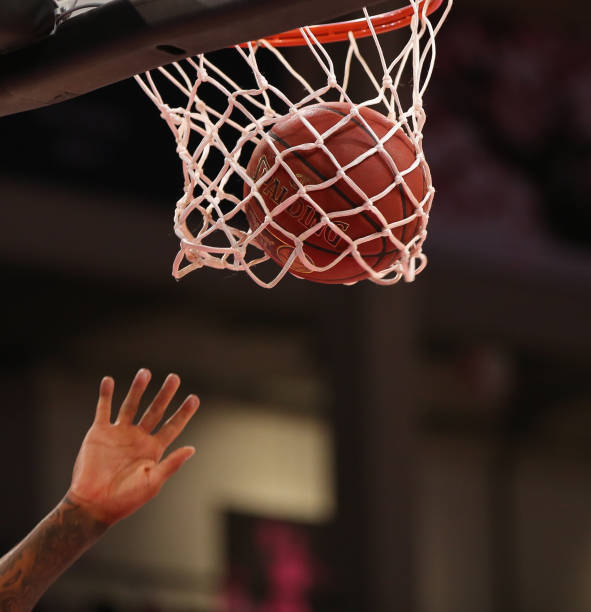 退出荷兰队 退出荷兰队